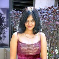 Bindu Madhavi Hot in Pink Gown Dress - Pictures | Picture 120959